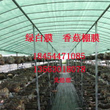 莆田市涵江區(qū)洋尾塑料制品廠銷售部 專注PE塑料吹膜與制品銷售的專業(yè)供應(yīng)商